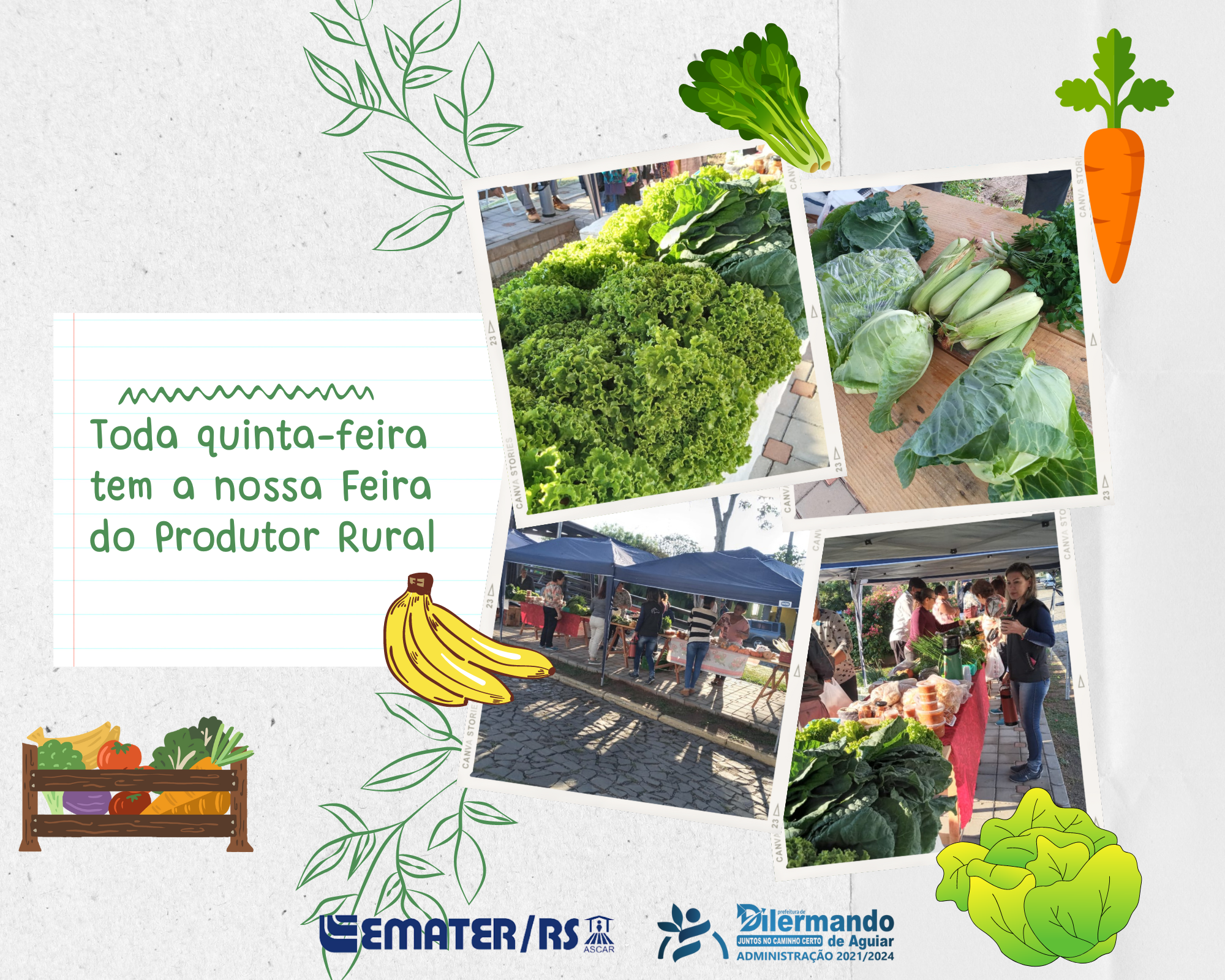 Toda quinta feira tem a nossa Feira do Produtor Rural